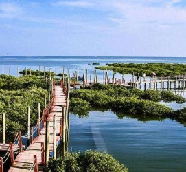 南京旅游哪里好玩(云南旅游哪里好玩)