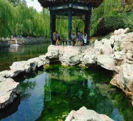 南京济南旅游攻略(青岛威海济南旅游攻略)