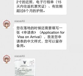 南京国外伴游软件进中国的(国内高端伴游哪个app好)