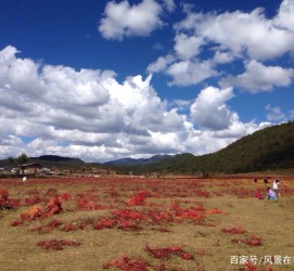 南京旅游去处(暑期最好的旅游去处)