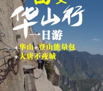 南京一日游(一日游需要准备些什么东西?)