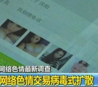 南京上海伴游 伴游女郎白天陪玩晚上陪睡 网络跑火日薪过万(图)