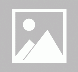 南京私人伴游 黄金周里动“黄”经 天津又现“私人陪游”逆流