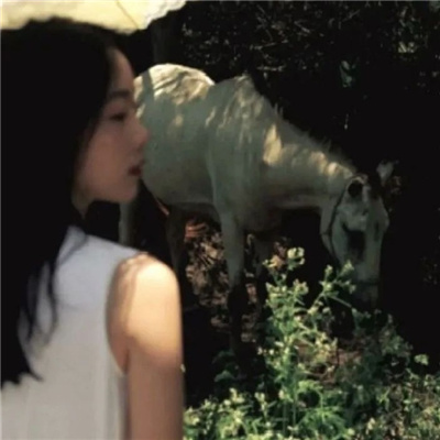 南京私家伴游让你拥有一次完美的旅游体验